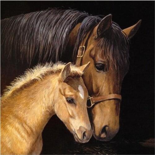 5D DIY Full Square/Round Diamond embroidery"Animal Horse"Cross Stitch Rhinestone Diamond Painting Mosaic Wall Sticker Gift DSX17