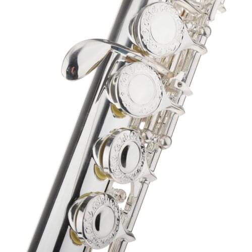 Closed Hole C Flute with Case Beginner Flute Student Flute for Beginners