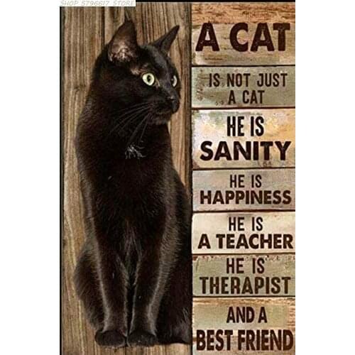2020 Best Selling Lenrius A Cat is Not Just A Cat metal sign 30.48 cm x 20.32 cm black cat lovers home wall decoration