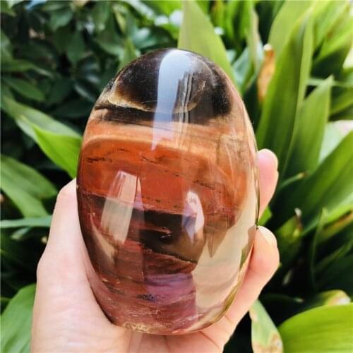 Natural crystal wood fossil polished crystal quartz mineral specimen healing Reiki home decoration
