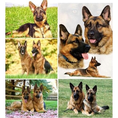 5d DIY Diamond Painting Cross Stitch german shepherd rottweiler Dog Diamond Embroidery Full Square Drill Home Decor C576