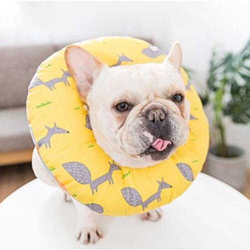 Padded Recovery Collar for Dogs and Cats, Remedy Protective Dog Lick Caught Soft Sponge Adjustable Postoperative Kit