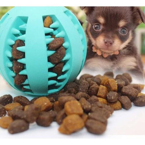 Dog Thrower Chew Toy Elastic Natural Rubber Mint Ball Feeding Ball Pet Teeth Chew Cleaning Balls Food Funny mint Interactive E