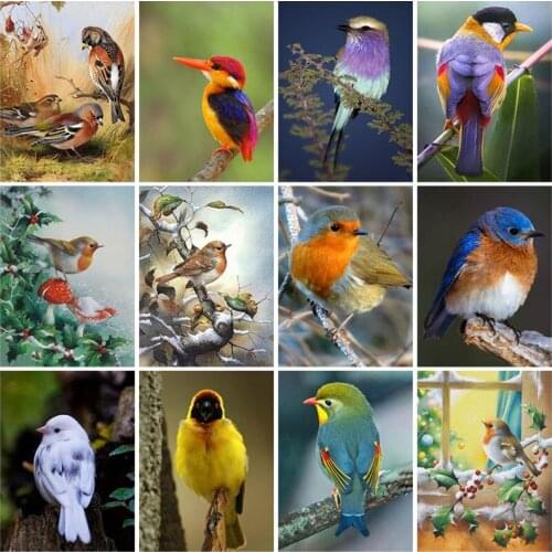 Diy Birds 5d Diamond Painting Full Square Drill Resin Animal Diamond Embroidery Craft Cross Stitch Kit Home Decor Wall Art Gift