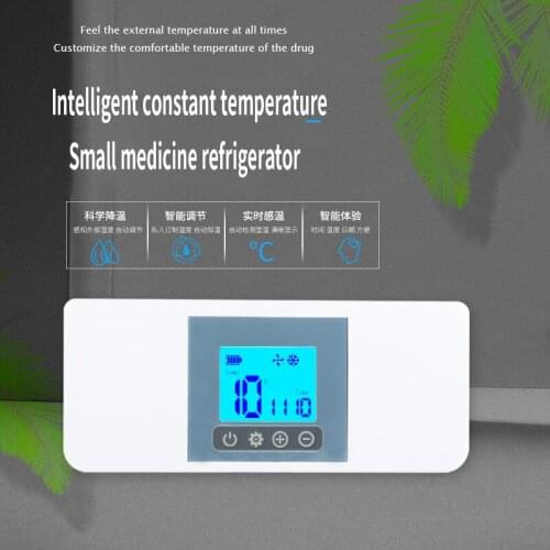 Mini Cooler Box Insulina. Pode ser carregado de Viagem Insulina Caixa De Armazenamento a Frio. Aquecimento E Arrefecimento Acomo