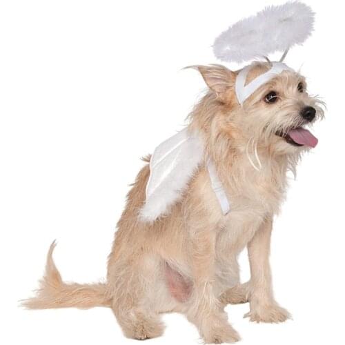 Dog Feather Angel Halo Wing Pet Costume Accessories Set Photography Props Q0KA