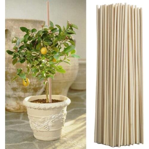 50Pcs Bamboo Plant Grow Support Sticks Garden Potted Flower Canes Rod Tools