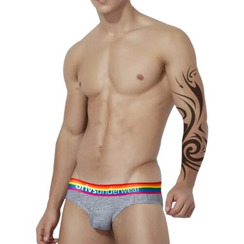 Sexy Men Underwear Men Briefs Mesh Underpants Rainbow Mens Briefs Cuecas Jockstrap Gay Men Brief Bikini Under Wear Man Srting