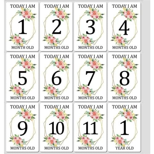 12 Sheets Baby Monthly Souveir Cards Baby Milestone Photo Sharing Cards Gift Set Newborn Photo Age Cards Photography Props Cards