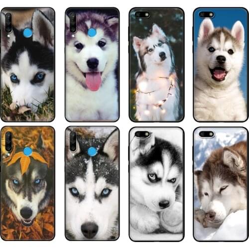 Black tpu Case For Huawei Honor 20 Lite 10 10i 20S 30S 30 Case Honor 7A 5.45 7s 7C 5.7 Case Cover Animal Husky Puppy Dog