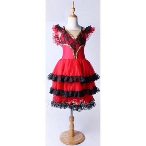X2010 Female Adult New Autumn Lace Classic Ballet Skirt Chiffon Lace Retro Folk Dance Skirt Professional Ballet Tutu Dress
