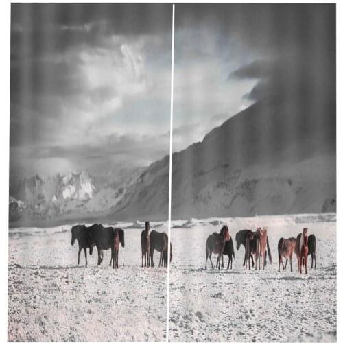 Custom size Horse curtains window curtains for living room bedroom grey curtain Drapes blackout curtains