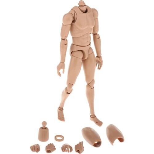 1/6 Scale Male Man Boy Body Figure Military Chest Muscular Skeleton Rude Body for 12" Soldiers Action Figure Head Toys