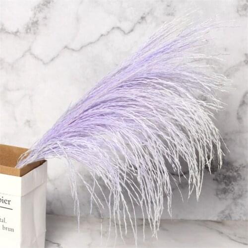 10pcs Pamps Grass Aesthetic Pink Room DecorDecor Natural Dried Plants Dry Flowers Chic Romantic Country Wedding Decoration Party