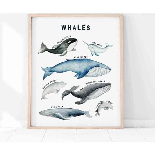 Whale Shark Nautical Sea Nursery Painting Canvas Poster Animal Art Prints Education Wall Pictures Nordic Kid Baby Bedroom Decor