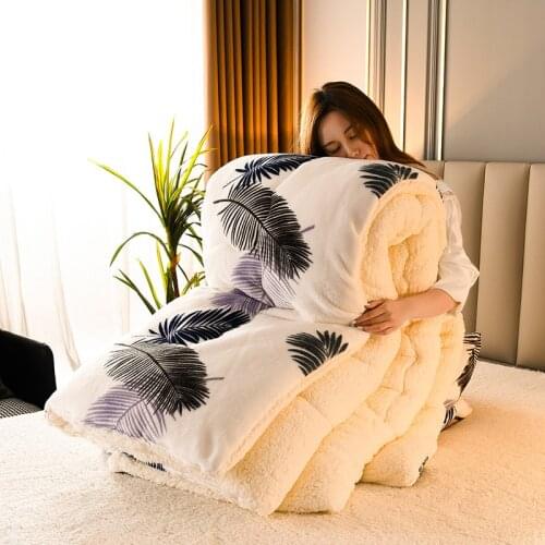 Lamb Velvet Flannel Winter Quilt Thickened Warmth Student Single and Double Dormitory Covering Soft Breathable Two Layers Cozy