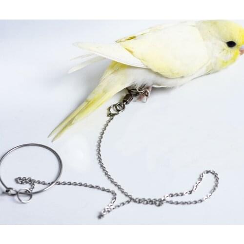 Bird Parrot Foot Chain Stainless Steel Ankle Foot Ring Stand Chain Outdoor Flying Training Bird Accessories Bird Supplies