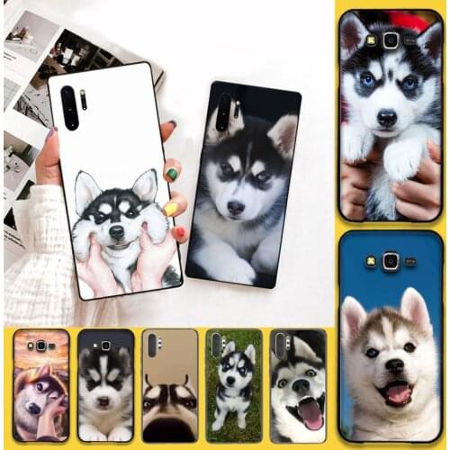 Cute Siberian Husky dog Phone Case For Samsung Galaxy Note20 ultra 7 8 9 10 Plus lite M51 M21 M30S