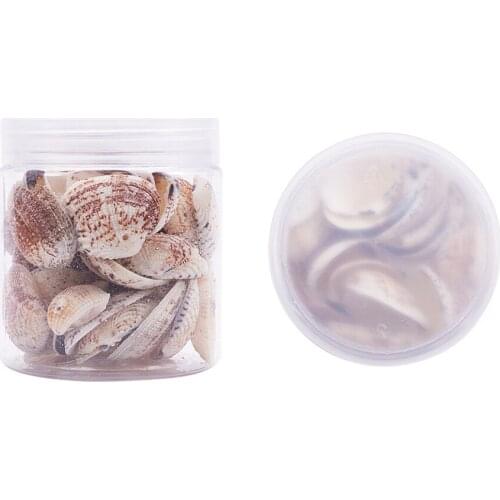 50Pcs Natural Sea Shells Seashell with Hole for DIY Wind Chimes Jewelry Making