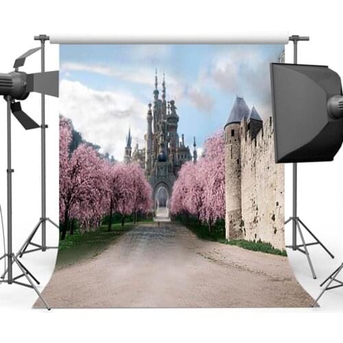 Mehofoto Photo Booth Background Castle Street Photography Backdrop for Fantasy Princess Props Birthday Party CM-4247