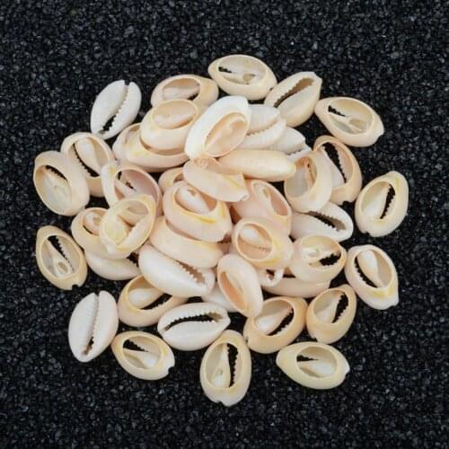 500g1.6-2cm Small Bulk Cut Beach Sea Natural Shell Conch Beads Cowry Cowrie Jewelery Craft Accessories holes DIY