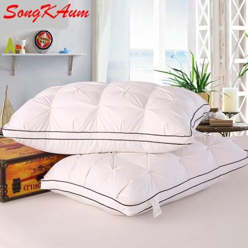Brand European Pillow 100% Goose down Filling 48*74cm Neck Health Silk pillowcases high quality