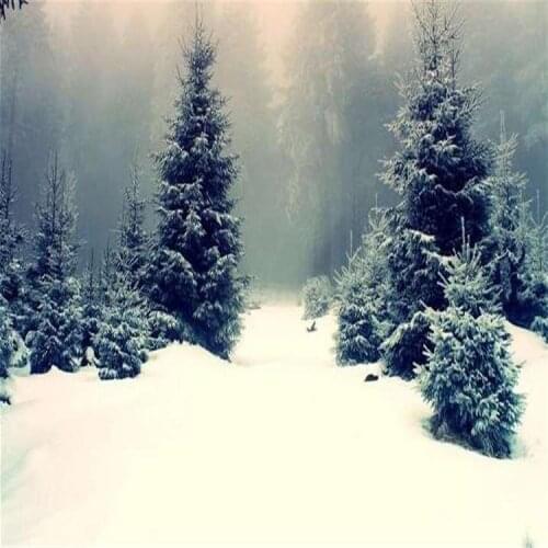 Magic Snow DIY Instant Artificial Snow Powder Simulation Snow magic perform Prop wedding Party Christmas indoor Decoration