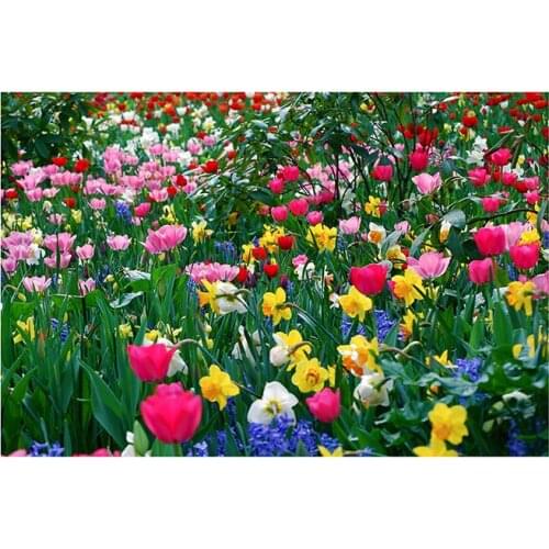 150/225cm Forest Background Photography Paper Spring Photo Booth Background Studio Party Backdrop Vinyl Cloth Photography