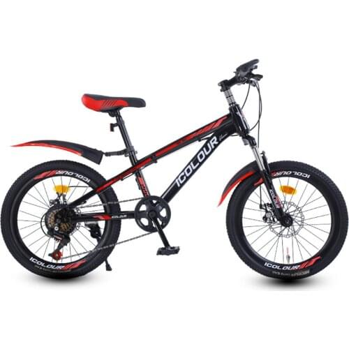 Mountain Bike Cross Country Double Shock Absorption Super Lightweight 20/22 Inch Racing Student Teenagers