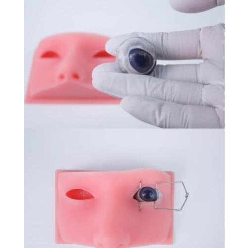 Ophthalmology Human Head Model Micromanipulation Eyeball Surgery practice model