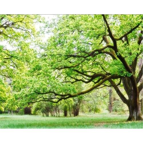 Beibehang 3d wallpaper Customized any size 3 d living room wall murals wallpaper, modern fashion beautiful tree photo wallpaper