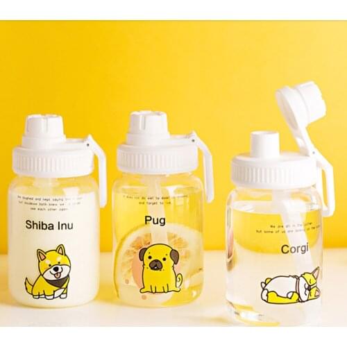 Cute Transparent Glass Water Bottle With Straw New High Borosilicate to Carry Fashion Fresh Water Cup Cute Drink Girl cup