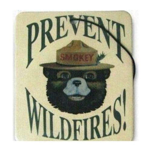 Free shipping,2017 Paper Type flavor car air freshener