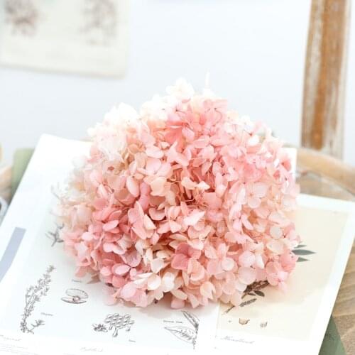 Dried flower Pink and white gradients 20G DIY material Grade A Anna Folium Hydrangea polychrome wedding decoration table