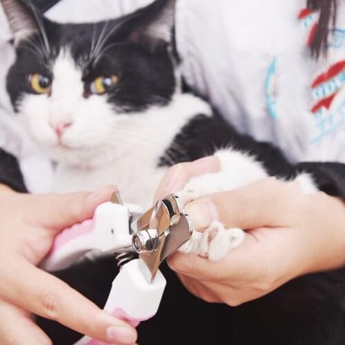 Professional Pet Cat Dog Nail Clipper Cutter Stainless Steel Grooming Scissors Clippers Claw Nail Scissors with Lock Pet Supplie