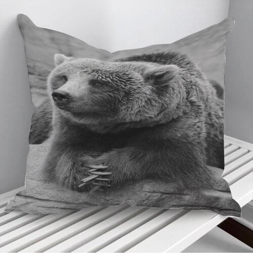 Bear Watch Throw Pillows Cushion Cover On Sofa Home Decor 45*45cm 40*40cm Gift Pillowcase Cojines Dropshipping