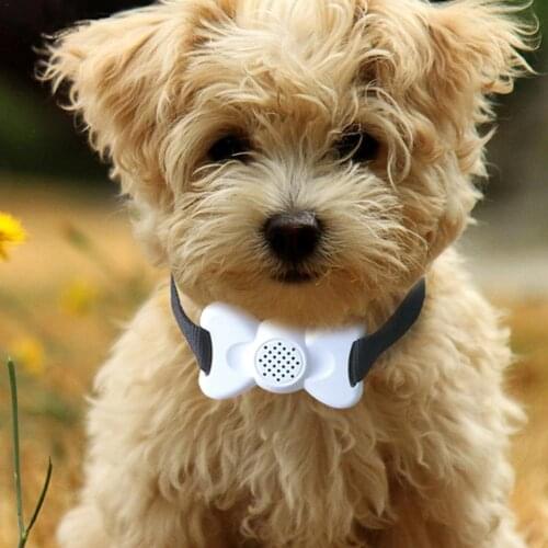 Adjustable Dog Bark Stopping Device Collar Dog Training Collar With Sound And Vibration (Delivered Without Battery) Pet Collar