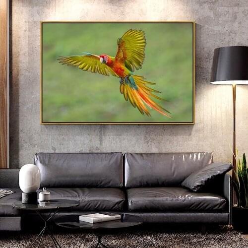 Artcozy Oil Canvas Painting abstract bird For Home Decoration Wall Art