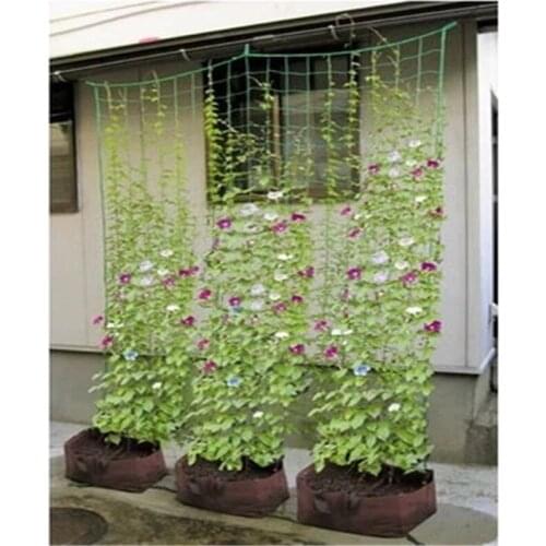 Horticultural net, flowers, fruits and other garden ornaments with climbing rattan net and plastic net