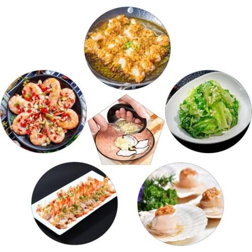 Kitchen Garlic Press Rocker Stainless Steel Garlic Crusher Squeezer Tool