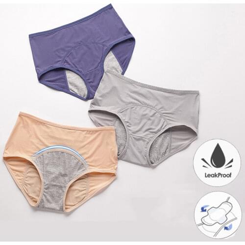 Plus Size Menstrual Panties Breathable Hole Spandex Leak Proof Menstrual Underwear Women High Waist Physiological Briefs