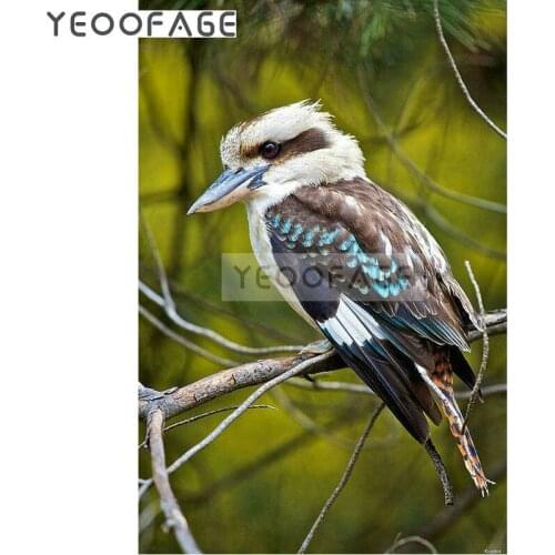 DIY 5D Diamond Embroidery kingfisher Pattern diamond Paintings cross stitch animal picture Rhinestones Diamond Mosaic Kits