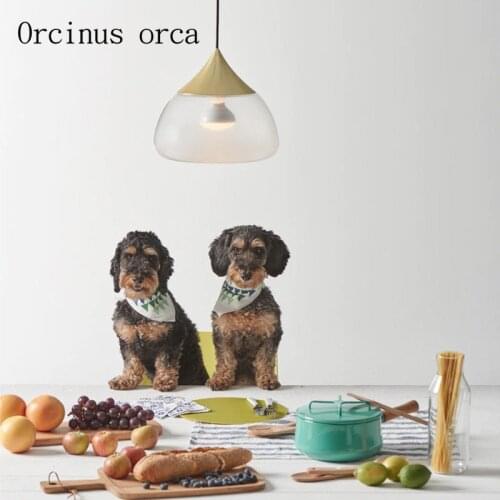 Nordic Nordic minimalist glass chandeliers restaurants bedroom bar cloakroom lovely single head Chandelier free shipping