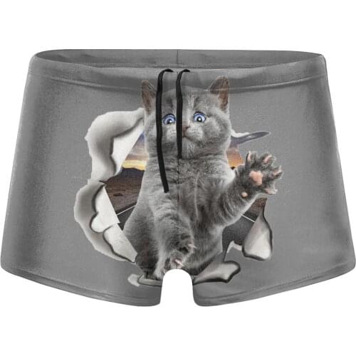Men Cat lovers beach swimming trunks British Shorthair swimsuits husband for the sea Pool