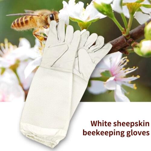 1 pair Bee Gloves Anti-bee Anti-sting Breathable White High Quality Beekeeping Gloves For Beekeeper Beekeeping Tools Product