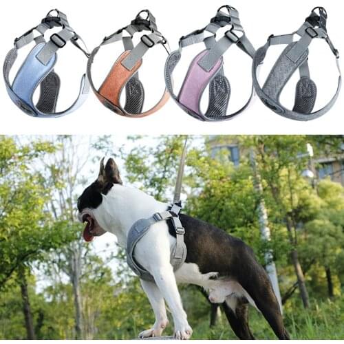 Dog Harness Breathable Pet Lead Leash for Puppy Adjustable Leashes Walking Polyester Mesh Harness for Small Medium Dog Outdoor