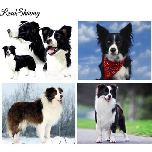 REALSHINING DIY Diamond Painting Pictures Paintings By Numbers,,Mosaic border collie 5D Diamond Embroidery Lovely Dog pet FS2763