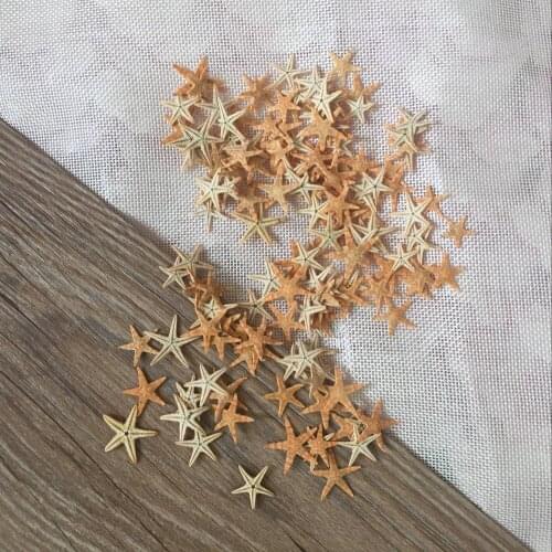 100pcs 2-3cm Mini Starfish natural Craft Decoration Natural Sea Stars DIY Beach Cottage Wedding Decor hot new paty wedding