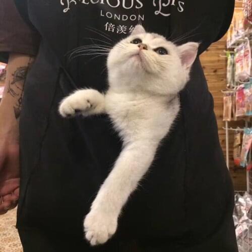 Unisize Black Pet Bath Product Life Waterproof Small Medium Large Animal Dog Cat Grooming Bathing Coat Outfit Apron Costumes Pug