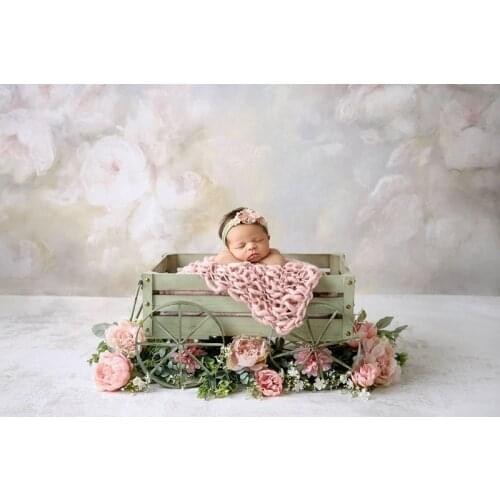Newborn photography props cart baby photography personality creative modeling car baby crib accessories